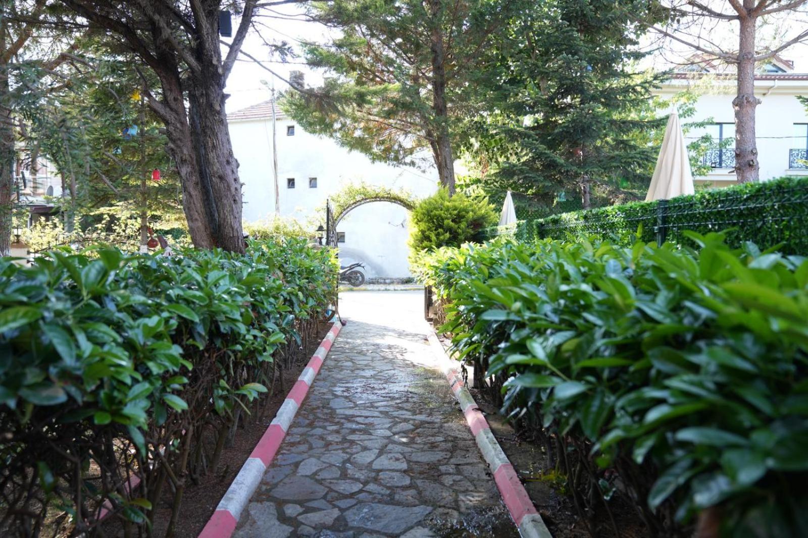 Butterfly Boutique Hotel Agva מראה חיצוני תמונה